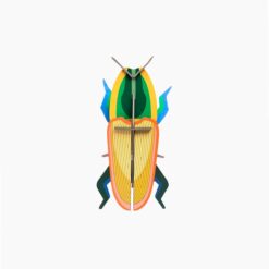 Karton Madagaszkári bogár | 3d dekor miniart
