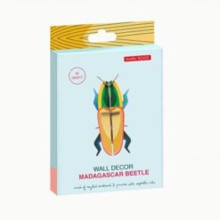 Karton Madagaszkári bogár | 3d dekor miniart