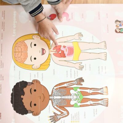 Kreatív, fejlesztő óriásplakát, 49 matricával - Az emberi test | Poppik miniart