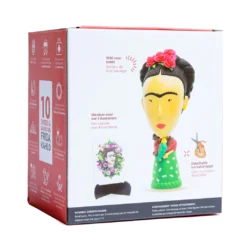 Frida kahlo figura