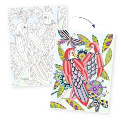 djeco Művészeti műhely - Madaras színezők mappa - Birds