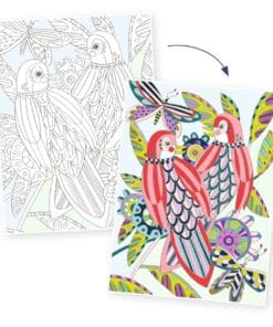 djeco Művészeti műhely - Madaras színezők mappa - Birds