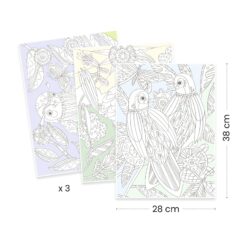 djeco Művészeti műhely - Madaras színezők mappa - Birds