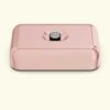 24BOTTLES Lunchbox Rose Gold