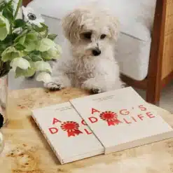 PRINTWORKS kutyás napló/emlékkönyv - A Dog's Life