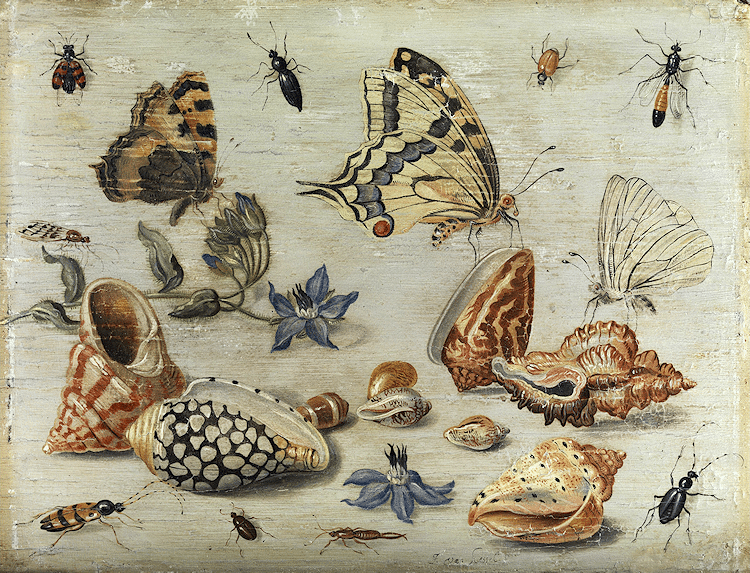 Jan van kessel