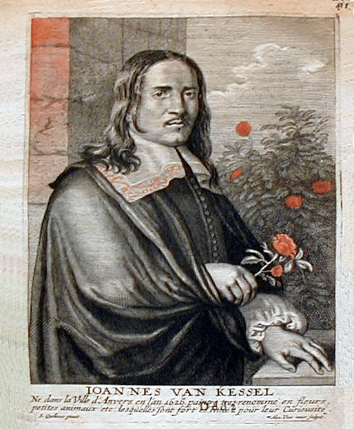 Jan van kessel