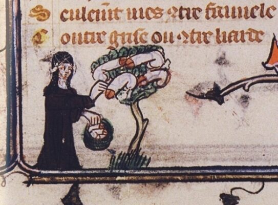 Marginalia Roman de la Rose