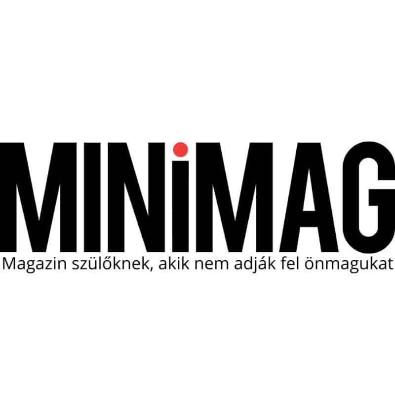 minimag logo