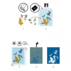 Djeco: Design by Művészeti műhely - Napnyomat kezdő készlet - Cyanotype Starter Kit