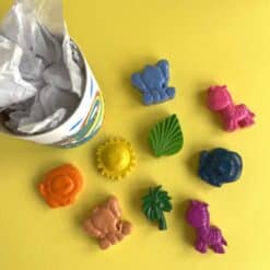 The Crayon Bug Kézzel készített zsírkréta Szafari